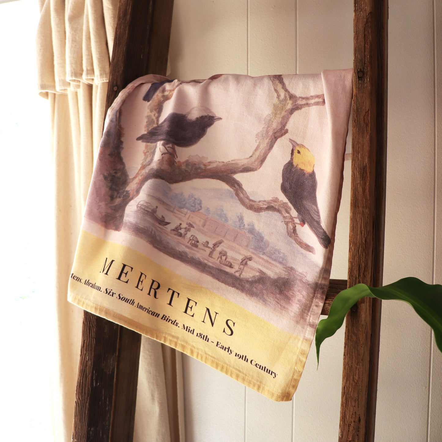 Abraham Meertens Six South American Birds painting on a kitchen towel. Inspired by the Metropolitan Museum Of Art. Absorbent and durable kitchen towel showcasing a vintage bird illustration with soft, natural hues and fine artistic details.