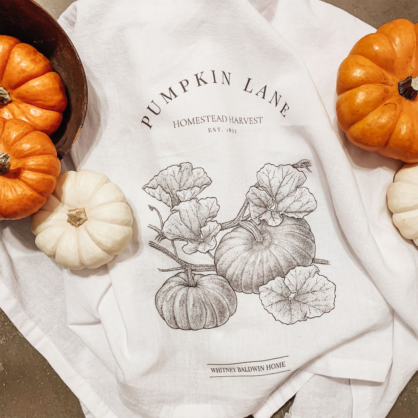 Homestead Harvest Pumpkin Lane Tea Towel. This pumpkin tea towel is displayed with many mini pumpkins