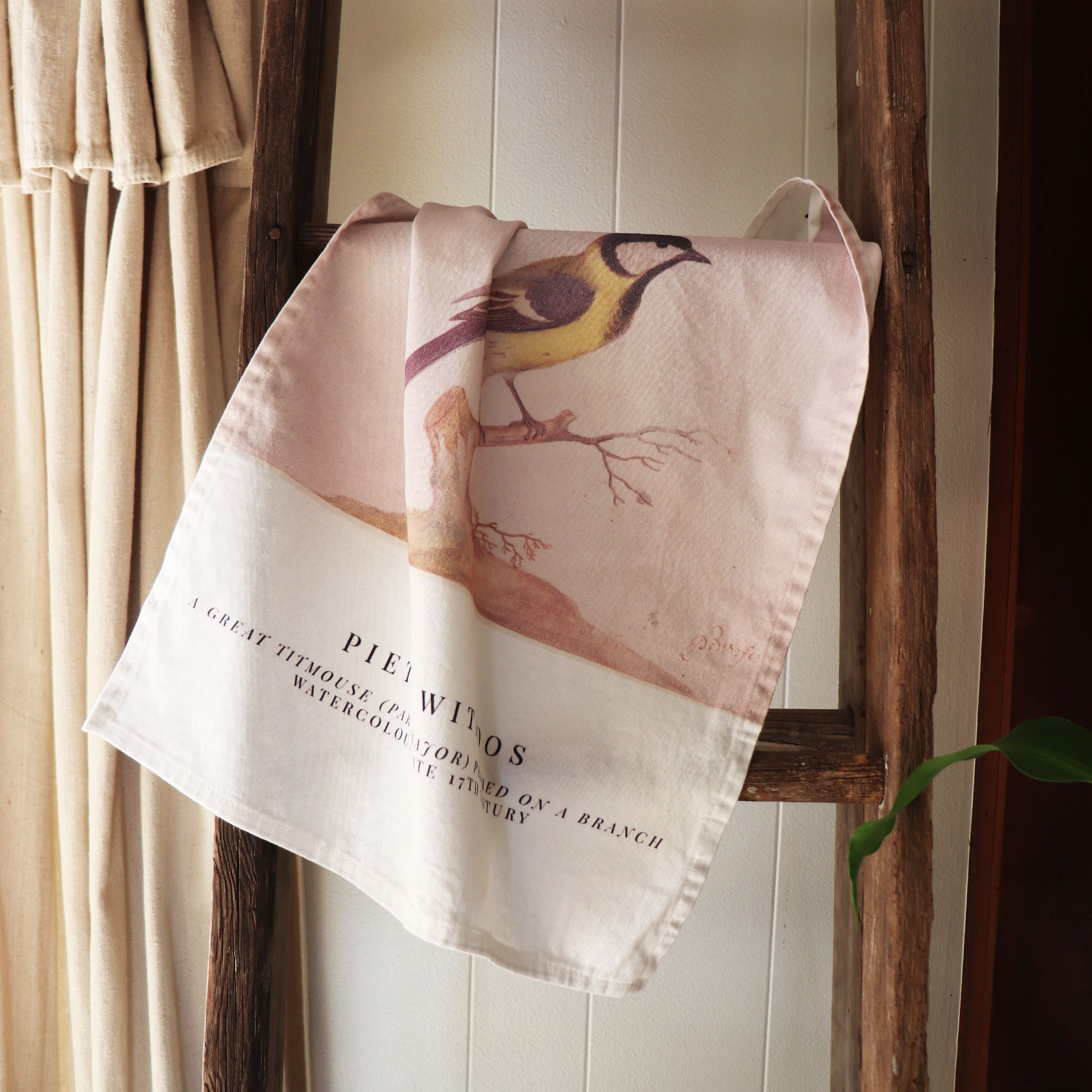 Pieter Withoos Titmouse print on kitchen towel Whitney Baldwin Home Luxury homewares