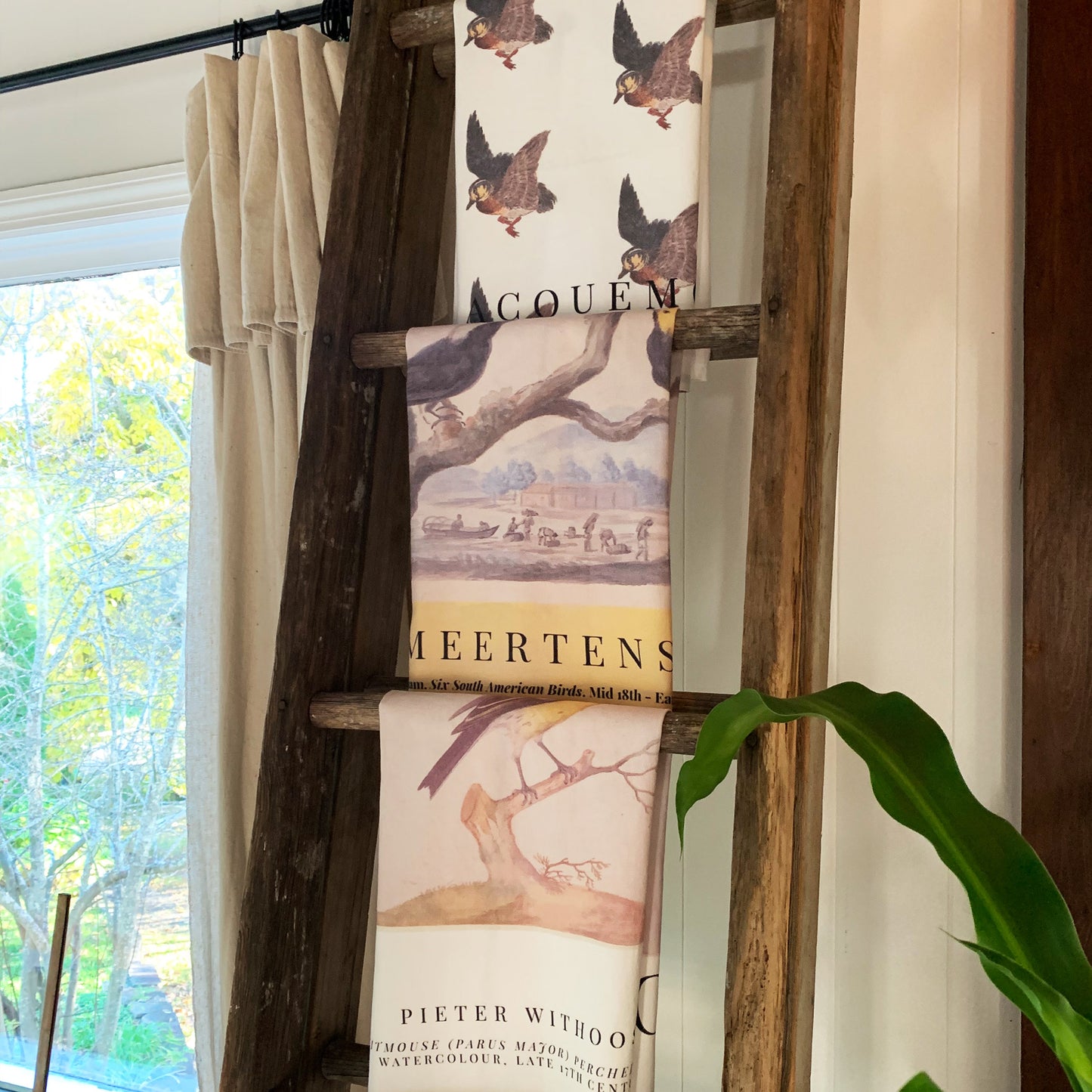 Archive Collection Kitchen Towel Gift Set