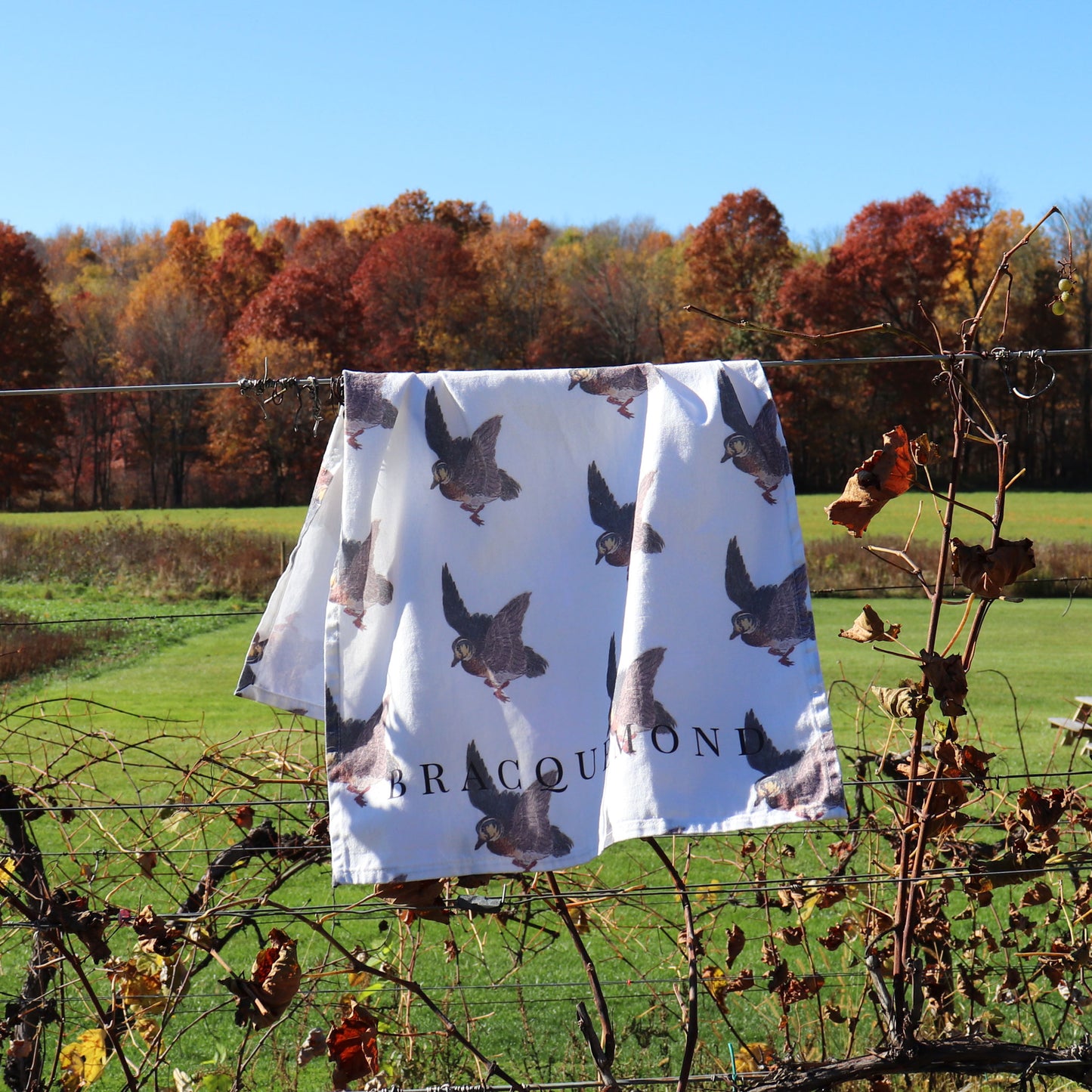 Félix Bracquemond's etching of a duck displayed on a soft, absorbent kitchen towel made from 100% cotton twill