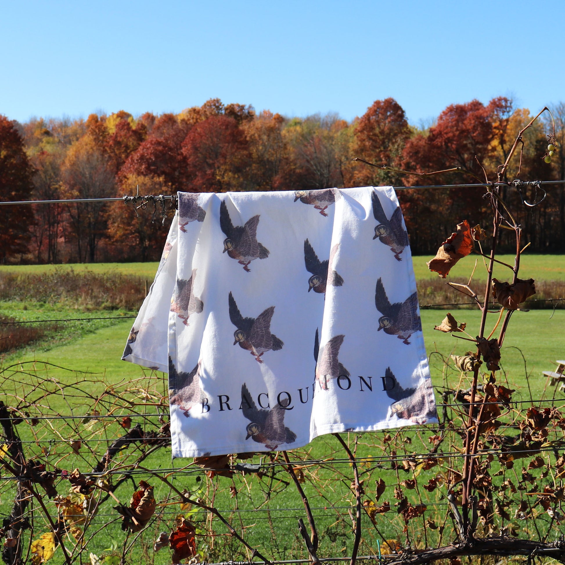 Félix Bracquemond's etching of a duck displayed on a soft, absorbent kitchen towel made from 100% cotton twill