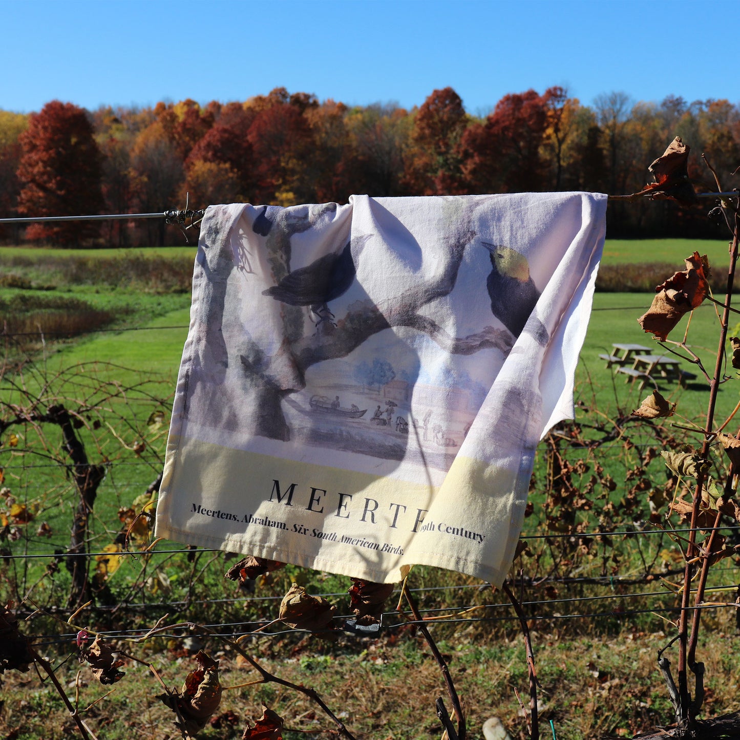 Beautifully printed cotton twill kitchen towel with historical bird artwork, perfect for drying dishes or decorative use