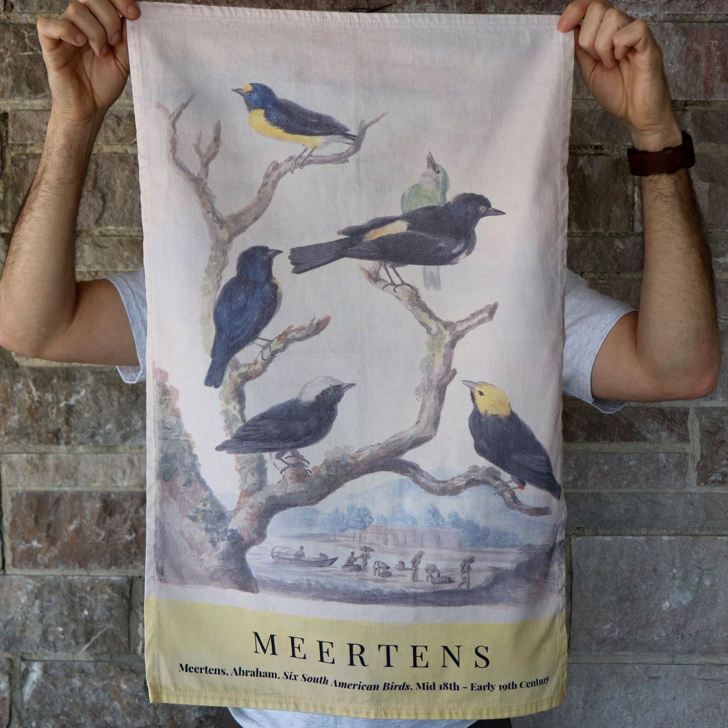 Close-up of the Six South American Birds kitchen towel, highlighting the delicate brushwork and rich color variations