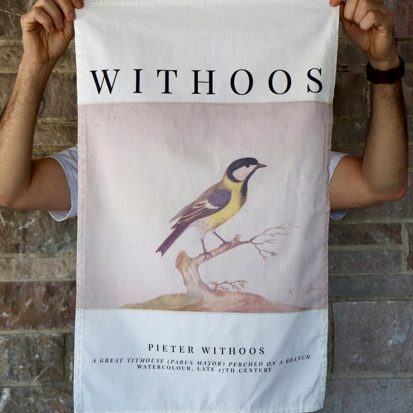 Pieter Withoos Titmouse kitchen towel featuring a delicate watercolor painting of a titmouse perched on a branch, printed on soft cotton twill